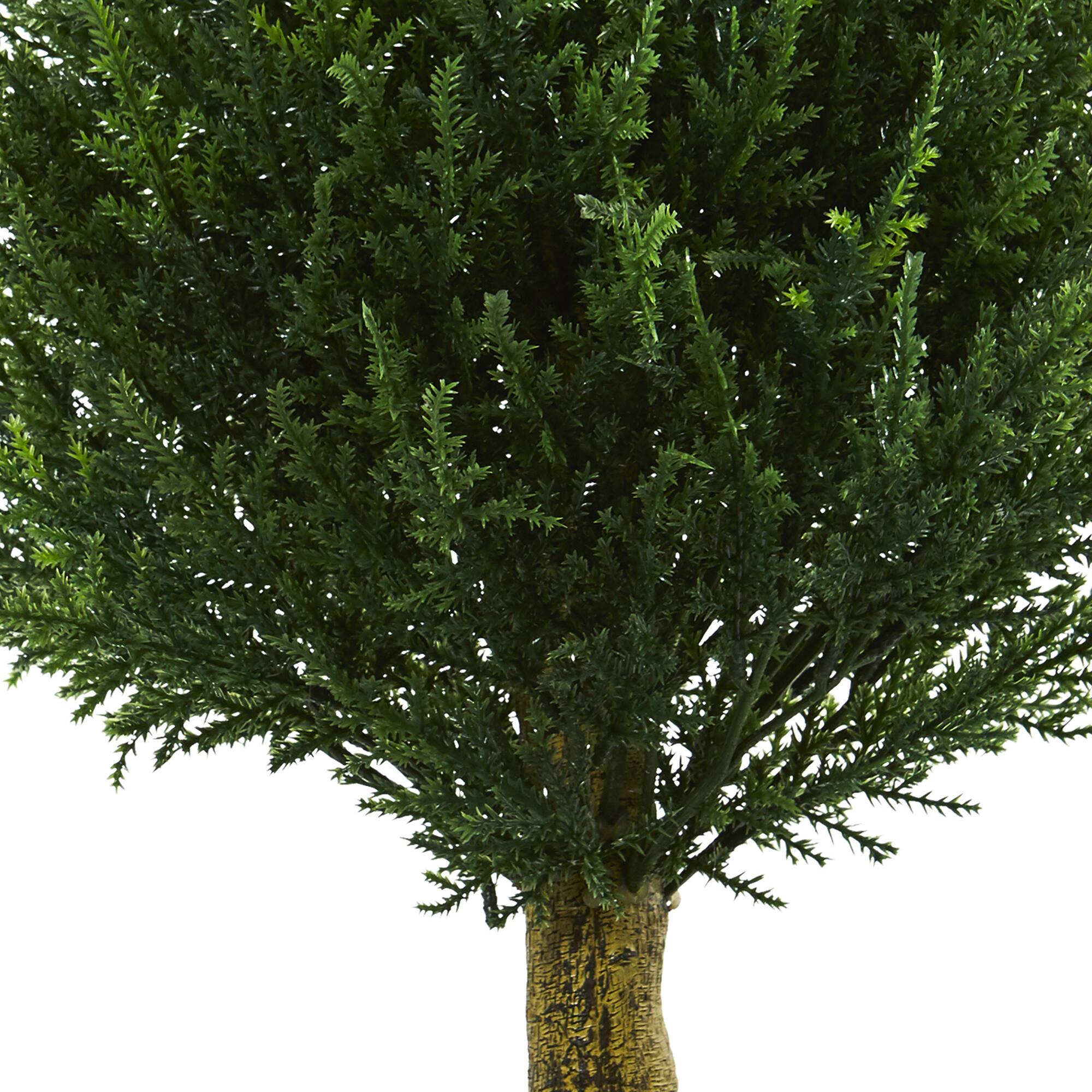 3ft. Potted Cypress Tower Tree